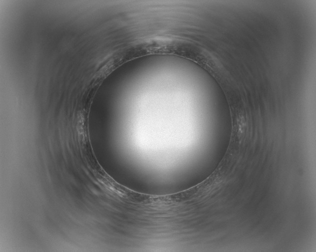 X0000053070964200507251455