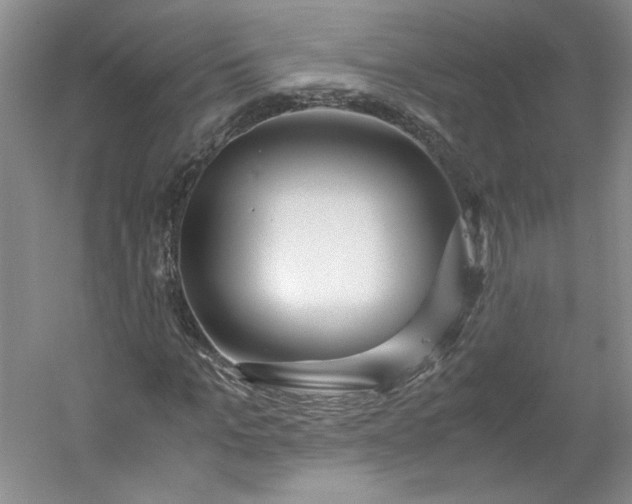 X0000053070965200507251455