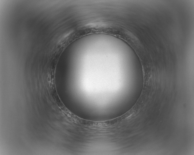 X0000053070966200507251455