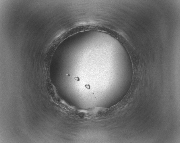 X0000053070967200507251455