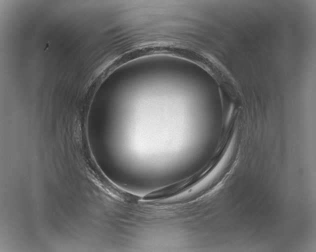 X0000053070969200507251455