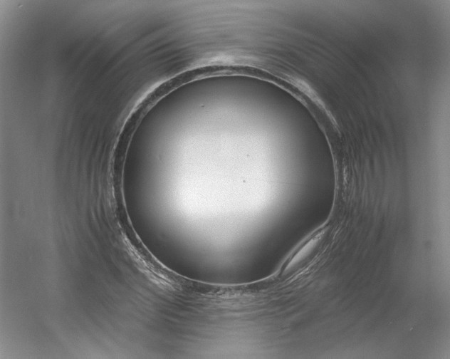 X0000053070972200507251455