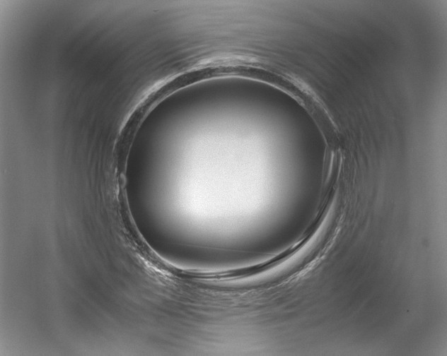 X0000053070973200507251455