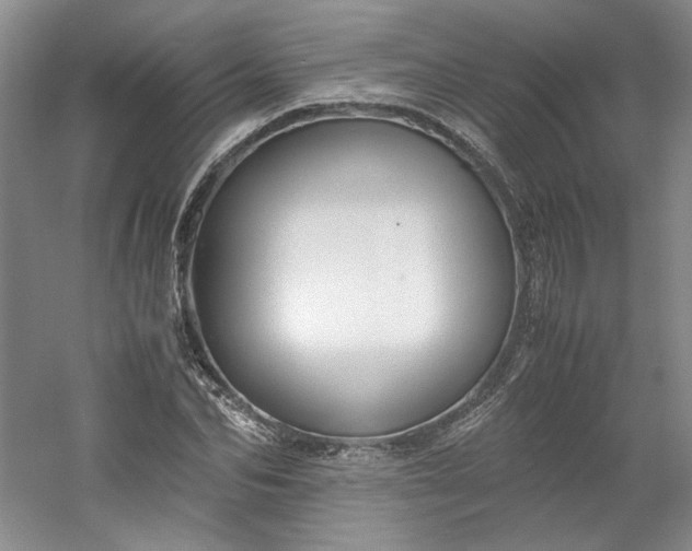 X0000053070974200507251455