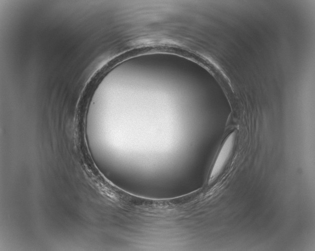 X0000053070975200507251455