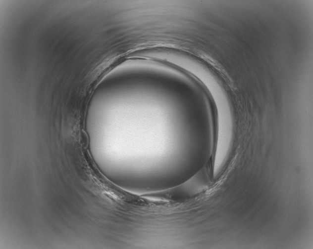 X0000053070977200507251455