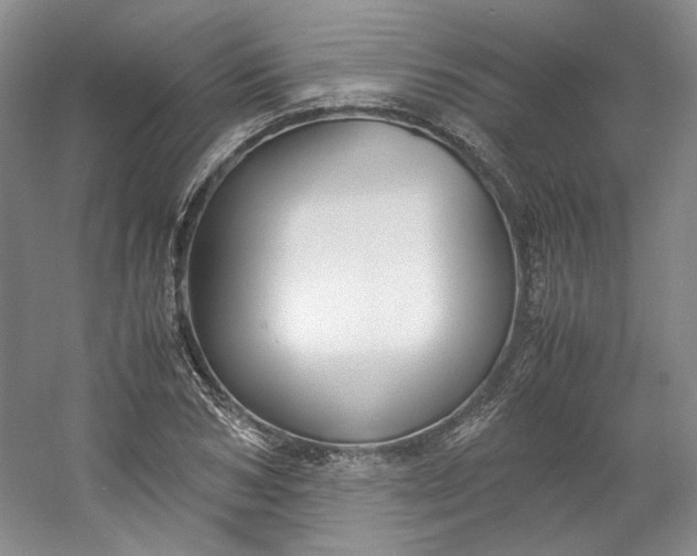 X0000053070978200507251455