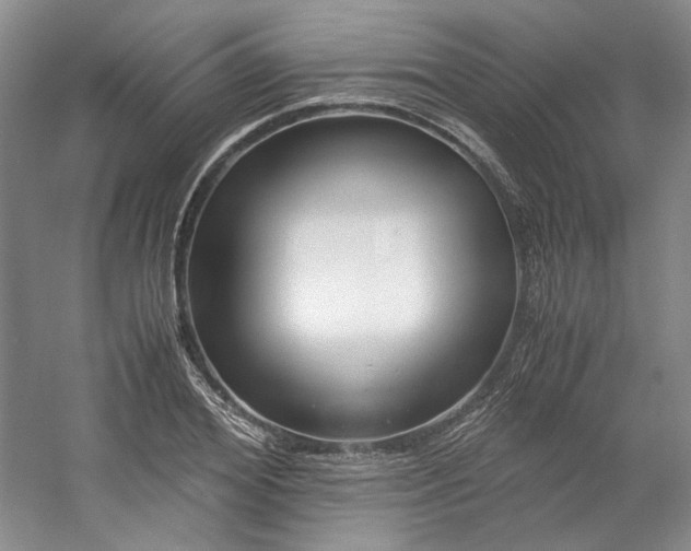 X0000053070980200507251455