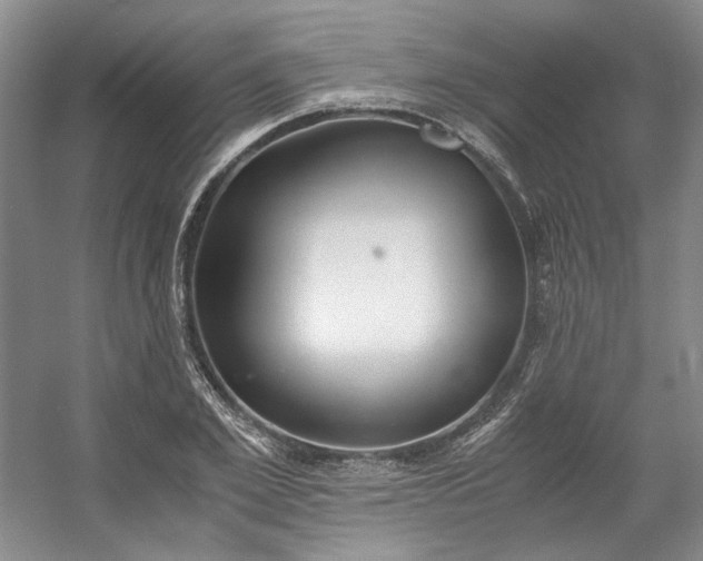 X0000053070981200507251455