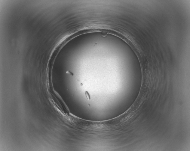 X0000053070982200507251455