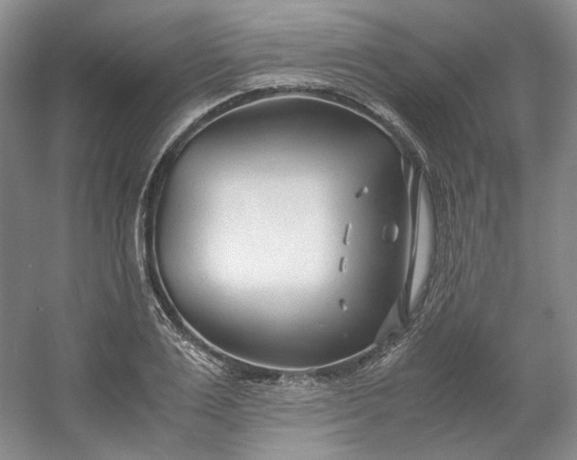 X0000053070983200507251455