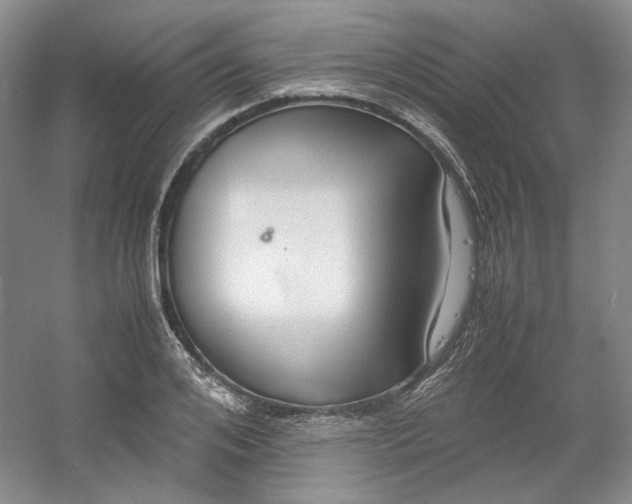 X0000053070984200507251455