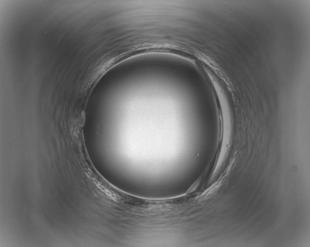 X0000053070985200507251455