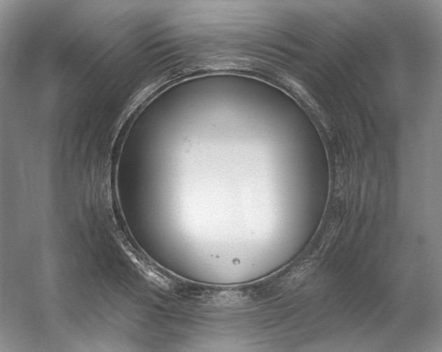 X0000053070986200507251455