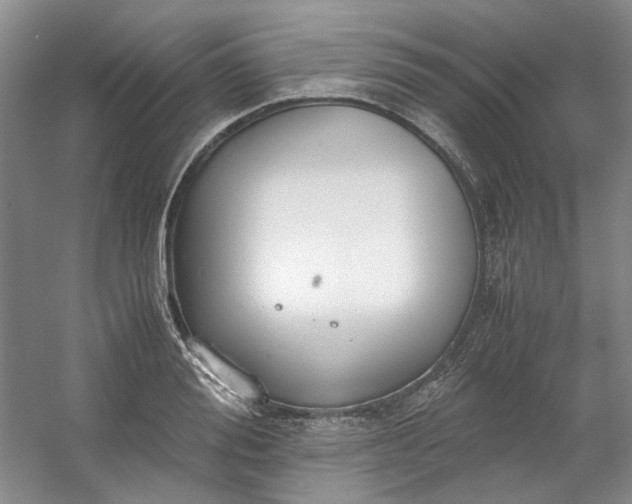 X0000053070988200507251455