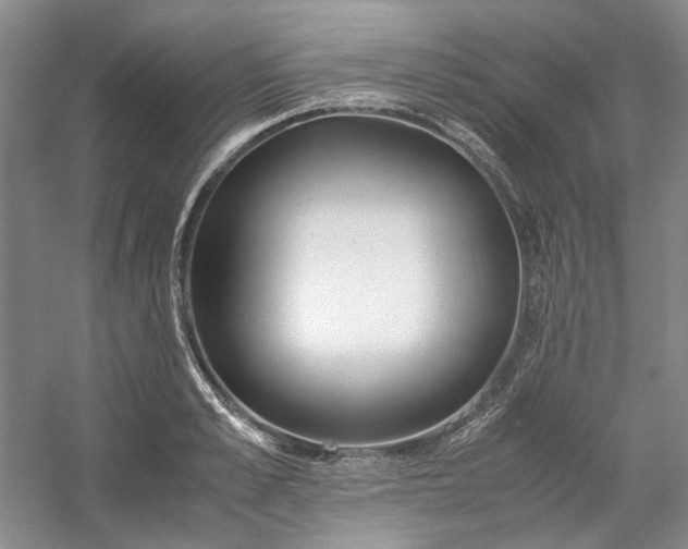 X0000053070989200507251455