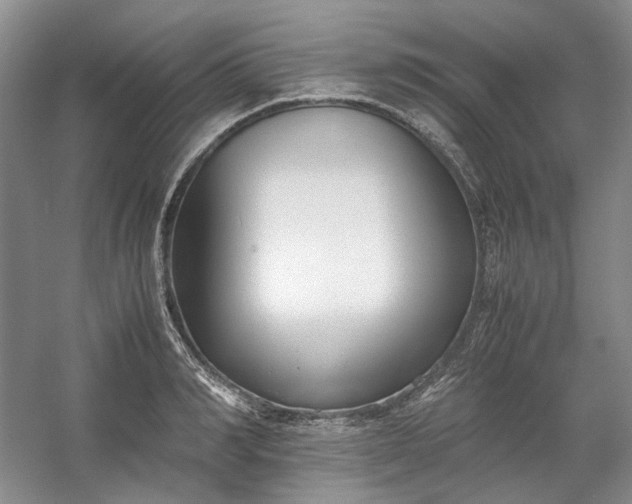 X0000053070990200507251455