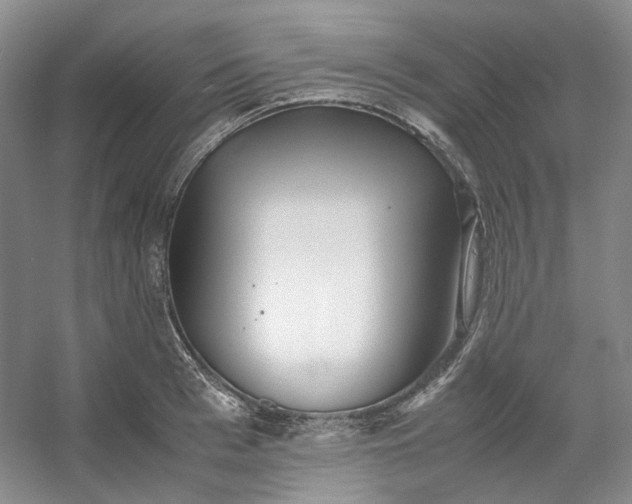 X0000053070993200507251455