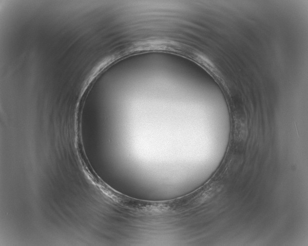 X0000053070994200507251455