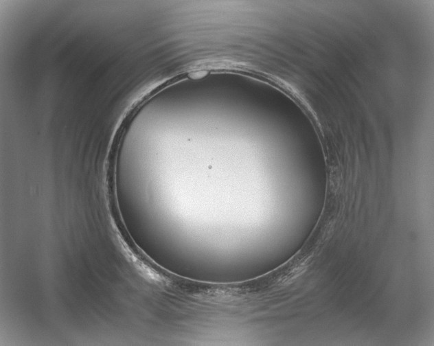 X0000053070995200507251455