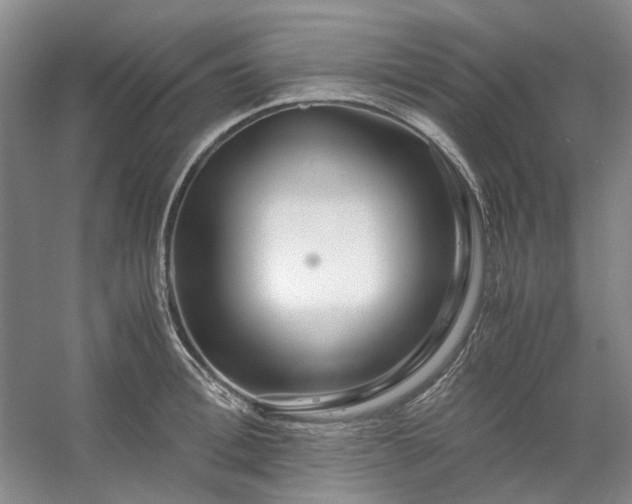 X0000053070996200507251455