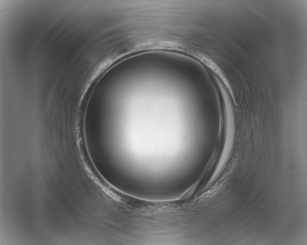 X0000053070997200507251455