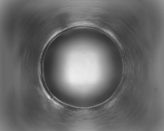 X0000053070999200507251455