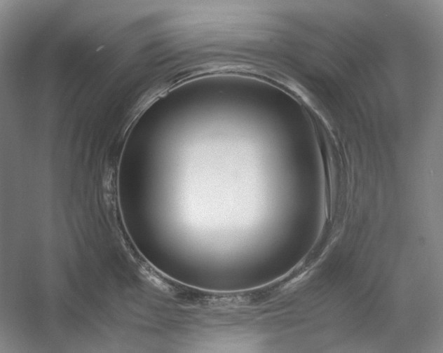 X0000053071001200507251455