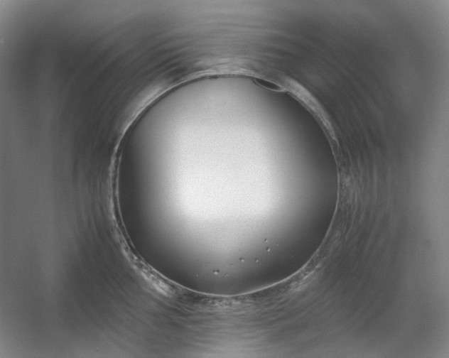 X0000053071002200507251455