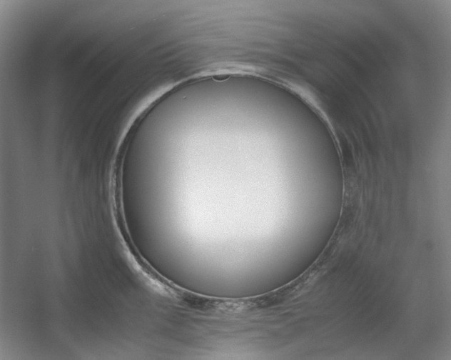 X0000053071003200507251455