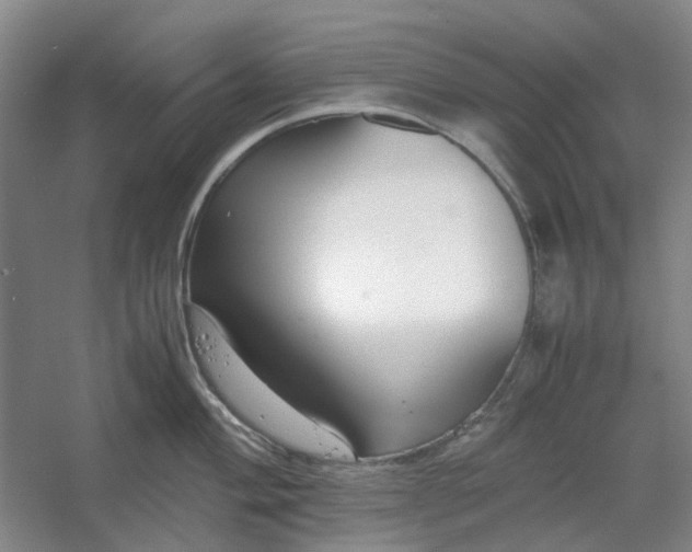 X0000053071004200507251454