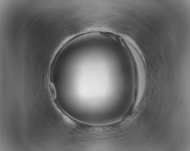 X0000053071005200507251454