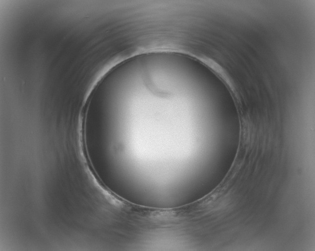 X0000053071006200507251454