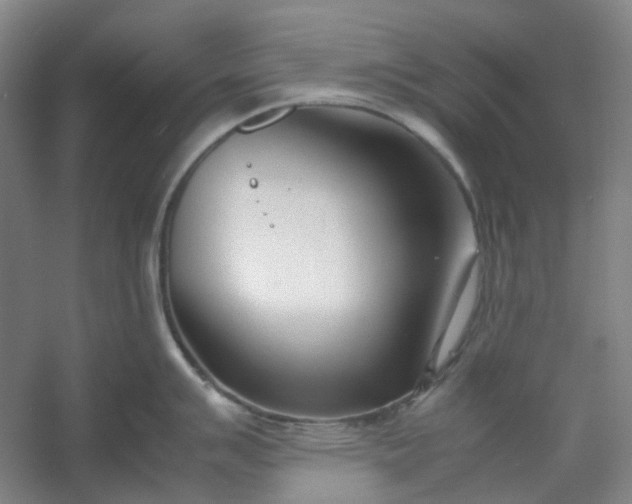 X0000053071007200507251454