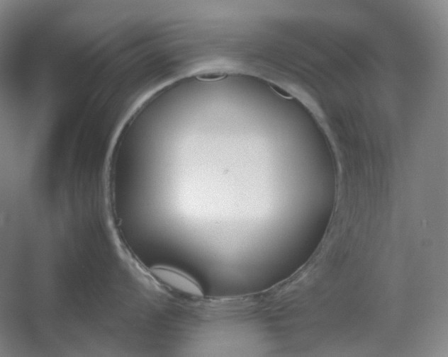 X0000053071008200507251454