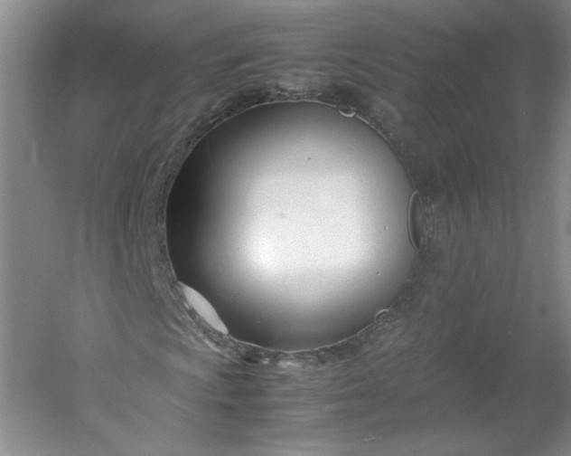 X0000053071009200507251454