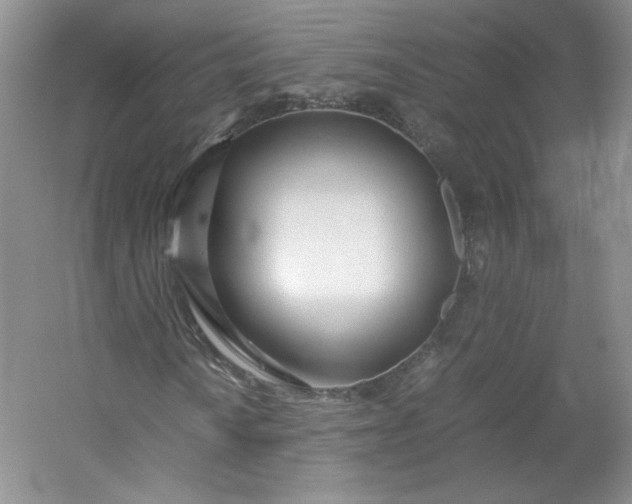 X0000053071010200507251454