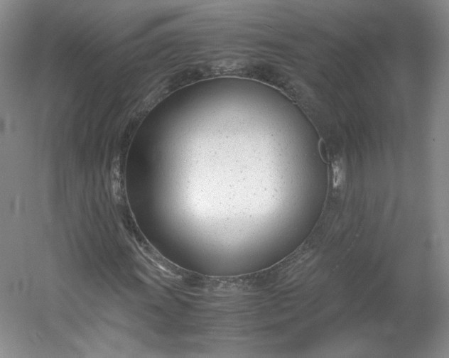 X0000053071011200507251454