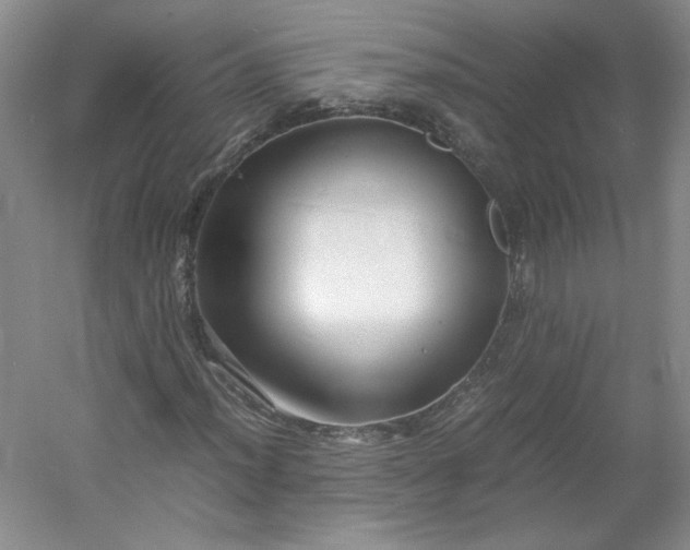 X0000053071012200507251454