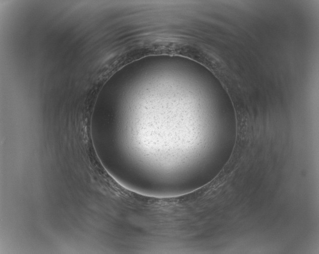 X0000053071013200507251454