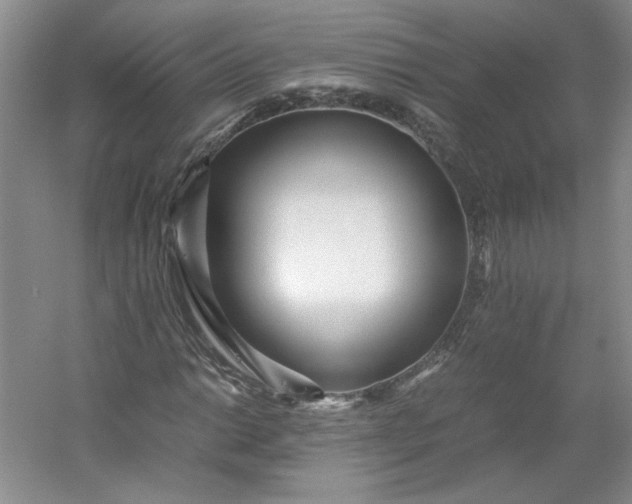 X0000053071014200507251454