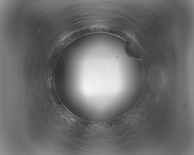 X0000053071015200507251454