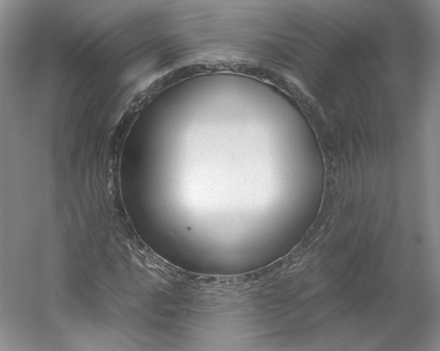 X0000053071016200507251454