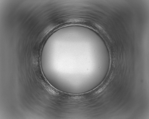 X0000053071017200507251454