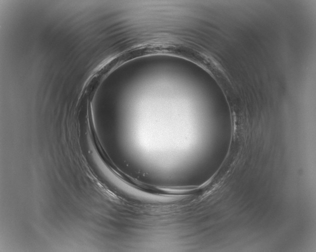 X0000053071018200507251454