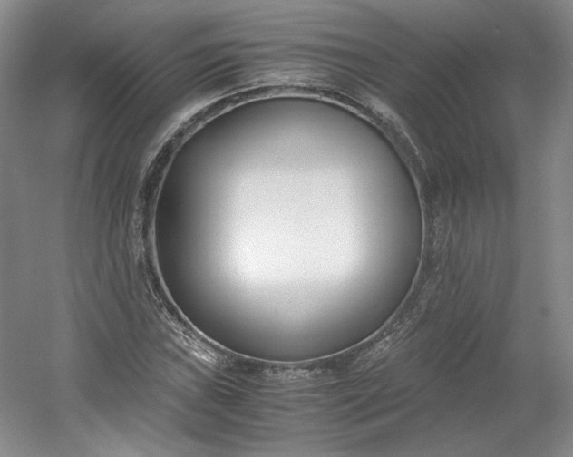 X0000053071019200507251454