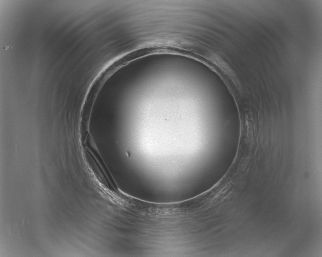 X0000053071020200507251454