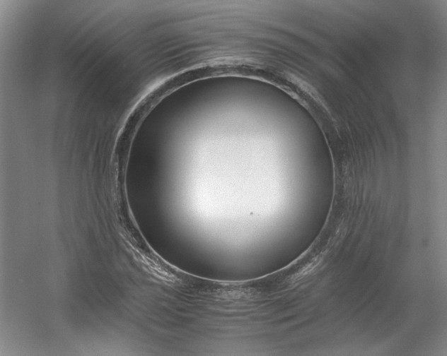 X0000053071021200507251454