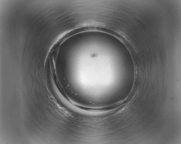 X0000053071022200507251454