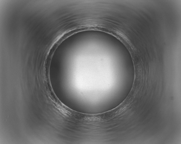 X0000053071023200507251454